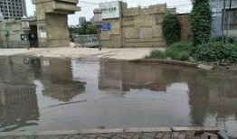 清河爆料最新,揭秘最新热点事件背后的真相